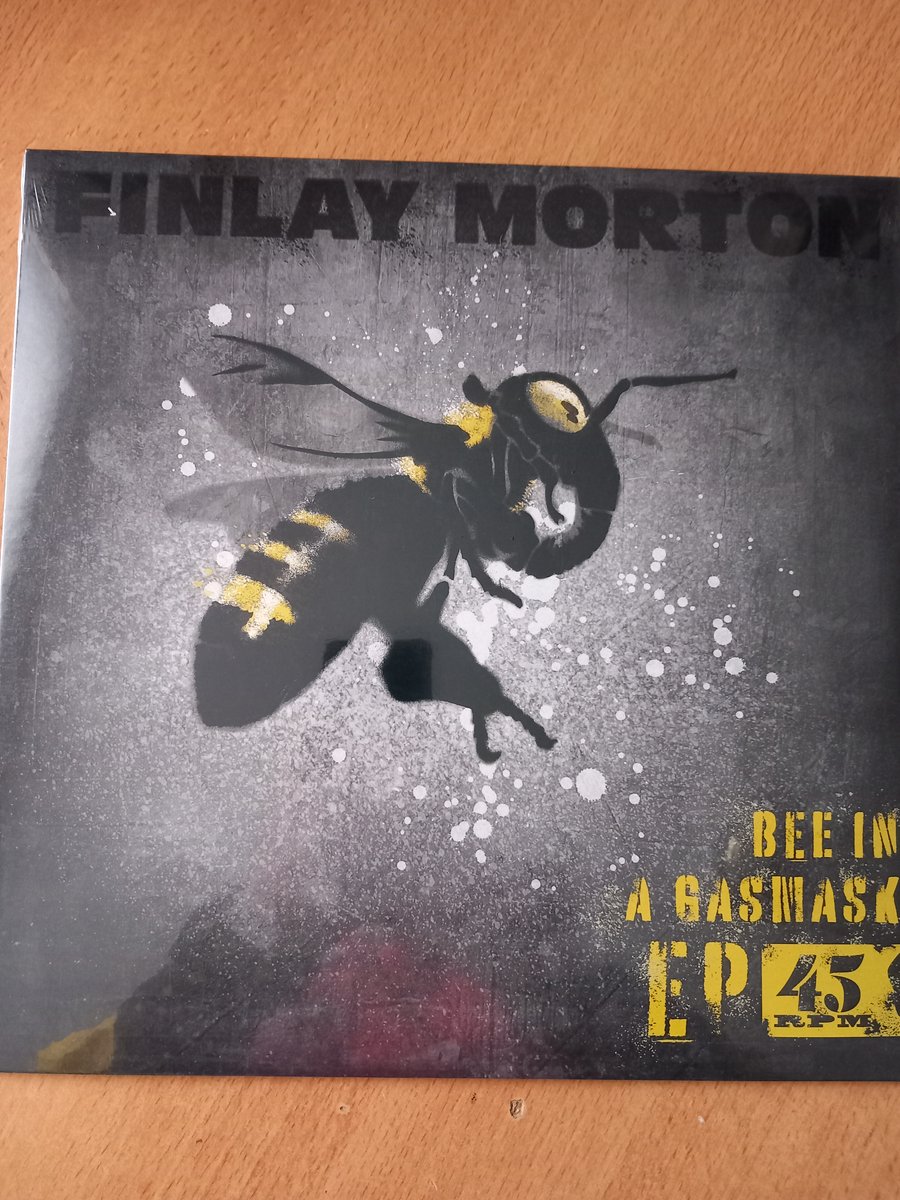 FINLAY MORTON - BEE IN A GASMASK E.9 12 " VINYL
