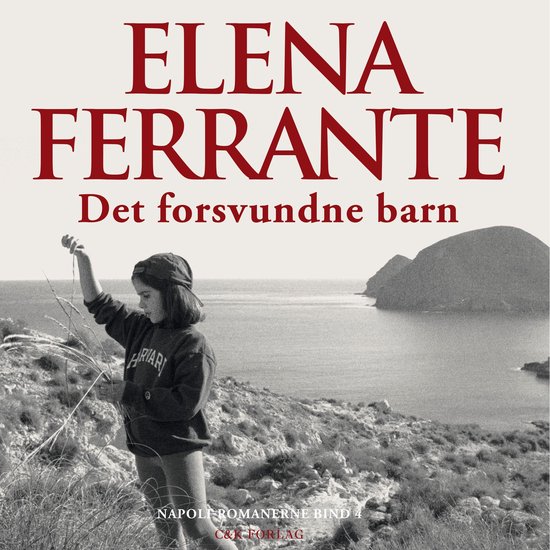 Det forsvundne barn - cover