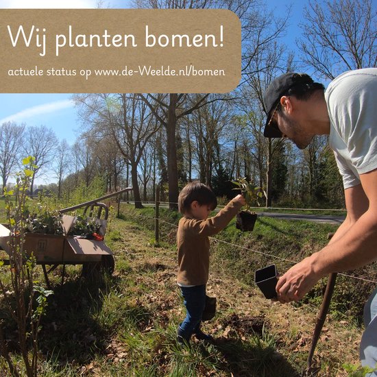 Man en jongen planten bomen in een bosrijke omgeving. "Wij planten bomen!"