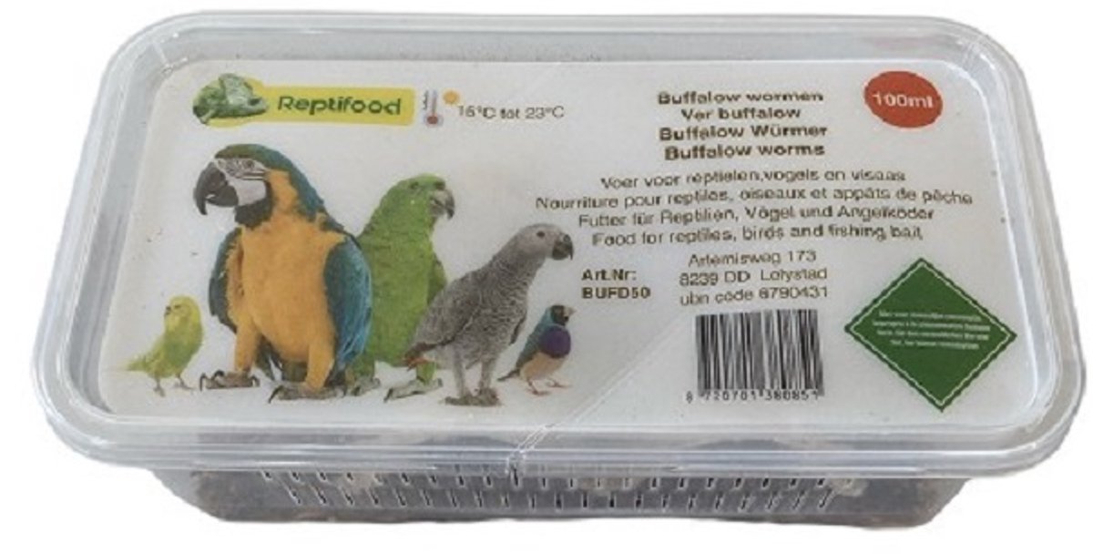 5 bakjes levende buffelowormen