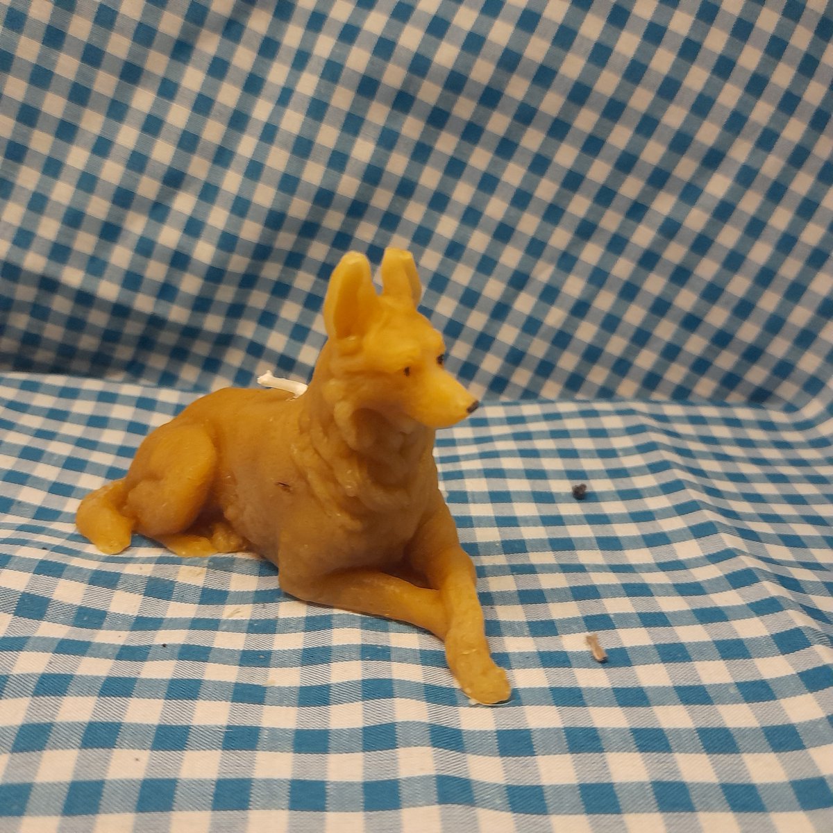 Bijenwas kaars, hond, herdershond