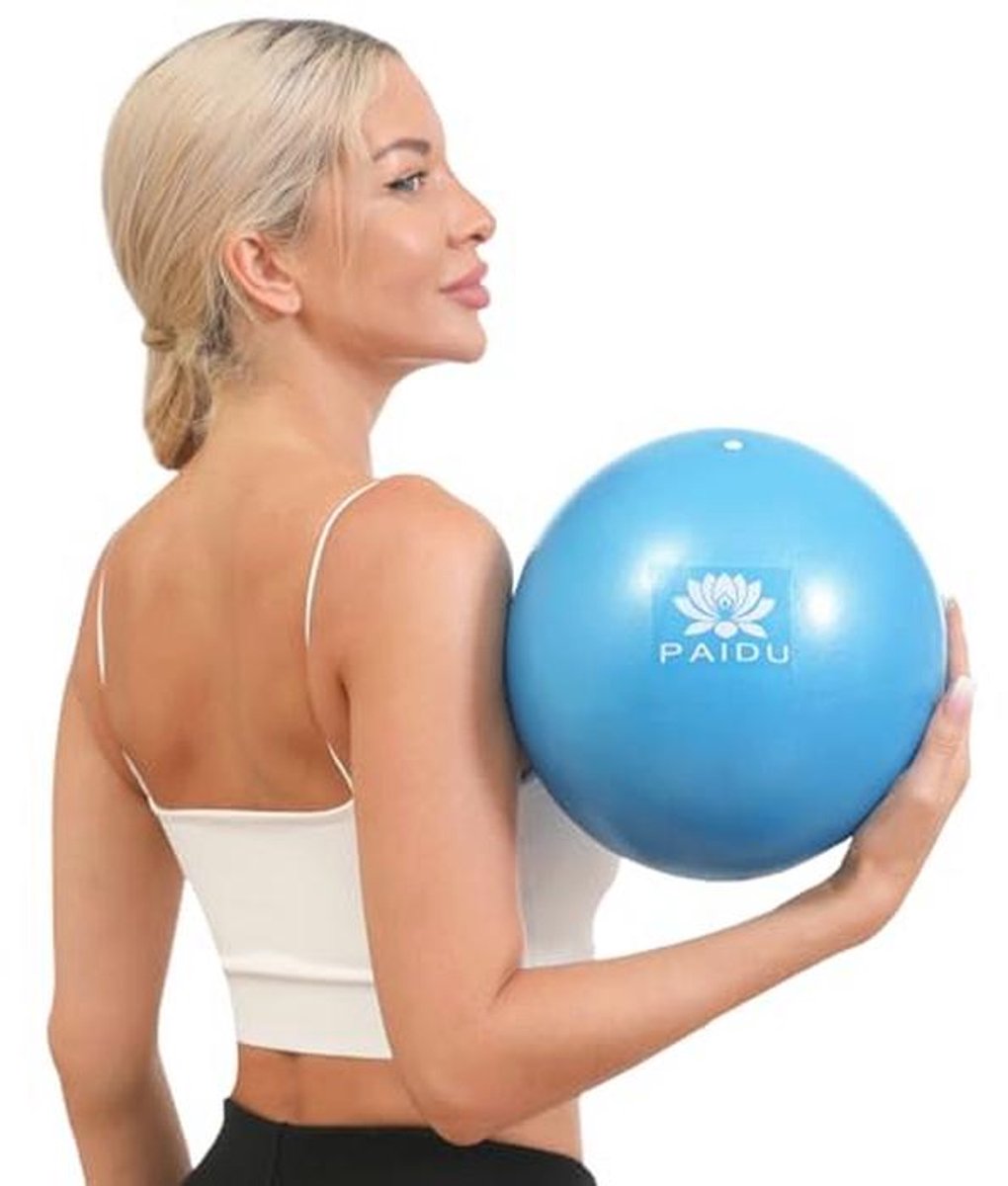 10-inch Pilates Ball voor Core Training en Fysiotherapie - anti-explosie en anti-slip Mini Yogabal