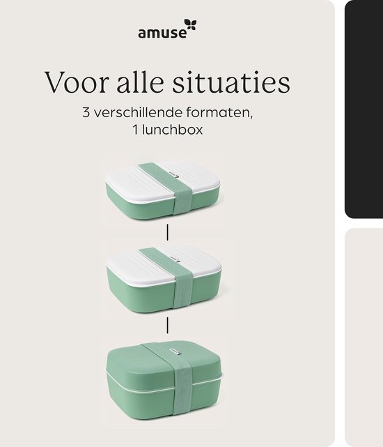 Amuse Lunchbox 3-en-1 Sage - Boîte à lunch avec grille et pot à sauce - Compatible lave-vaisselle, micro-ondes et congélateur - Vert