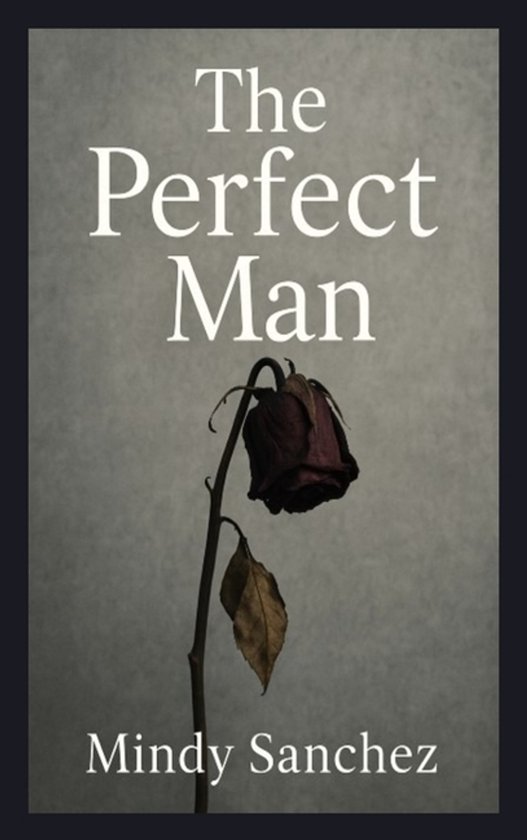 The Perfect Man - cover