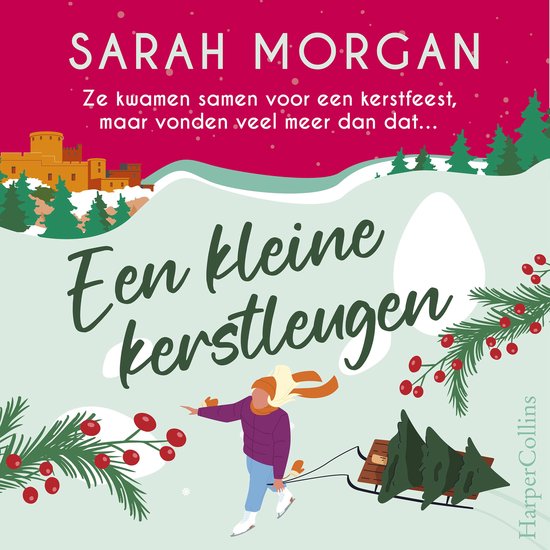 Een kleine kerstleugen - cover