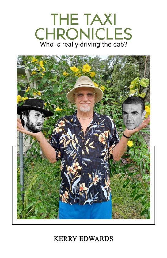 The Taxi Chronicles - cover