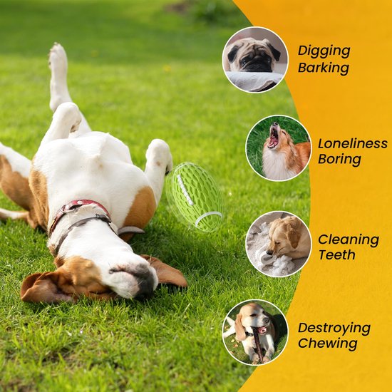 Beagle-mix hond die met een groene bal speelt in het gras. Rechts kleine afbeeldingen van honden die graven, blaffen, alleen zijn en kauwen.
