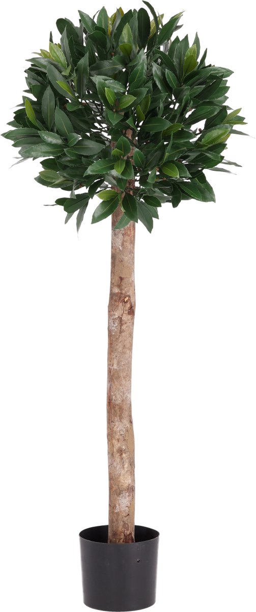 maxifleur Kunstplanten Laurierbol Kunstplant op stam 120cm UV Groen