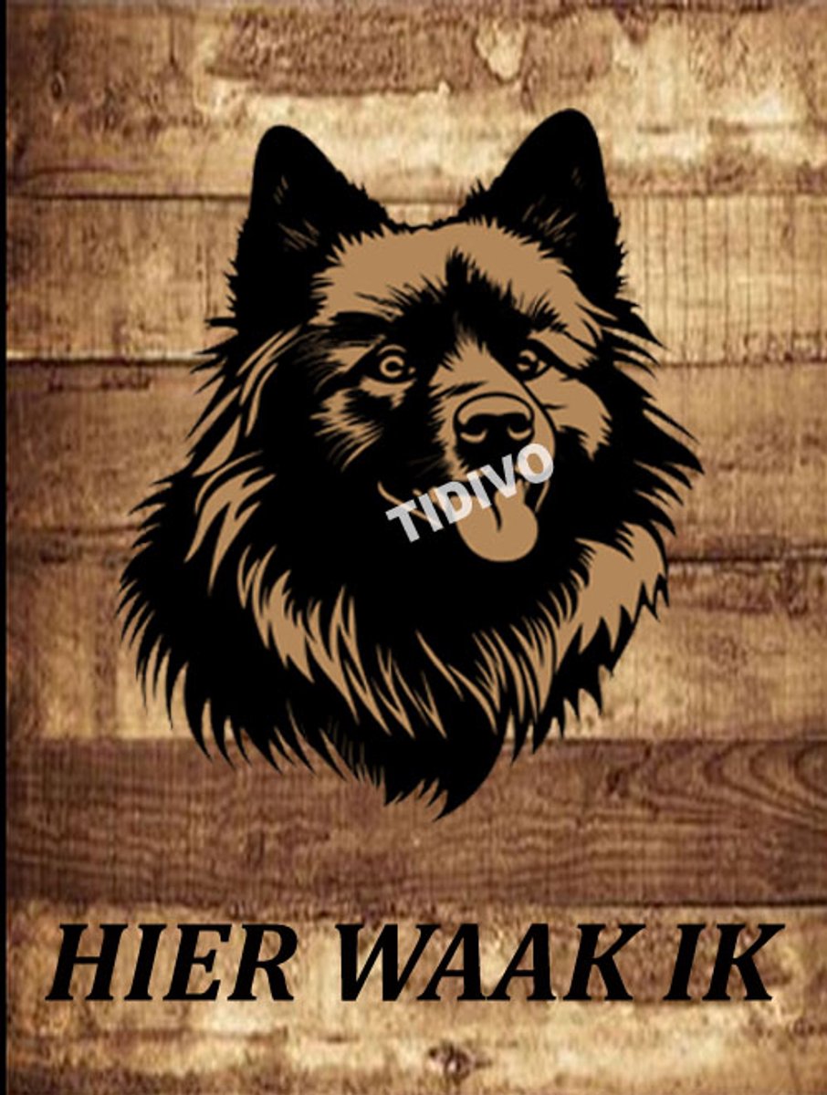 Keeshond 20