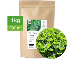 MRS Microklaver Gazon - 1 kg voor 300 m² - Natuurlijke bemester en bodemverbeteraar - Minder onderhoud - Geschikt voor schaduw en zon