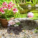 Bruin metalen wagentje met bloemen in een tuin bij een vijver.