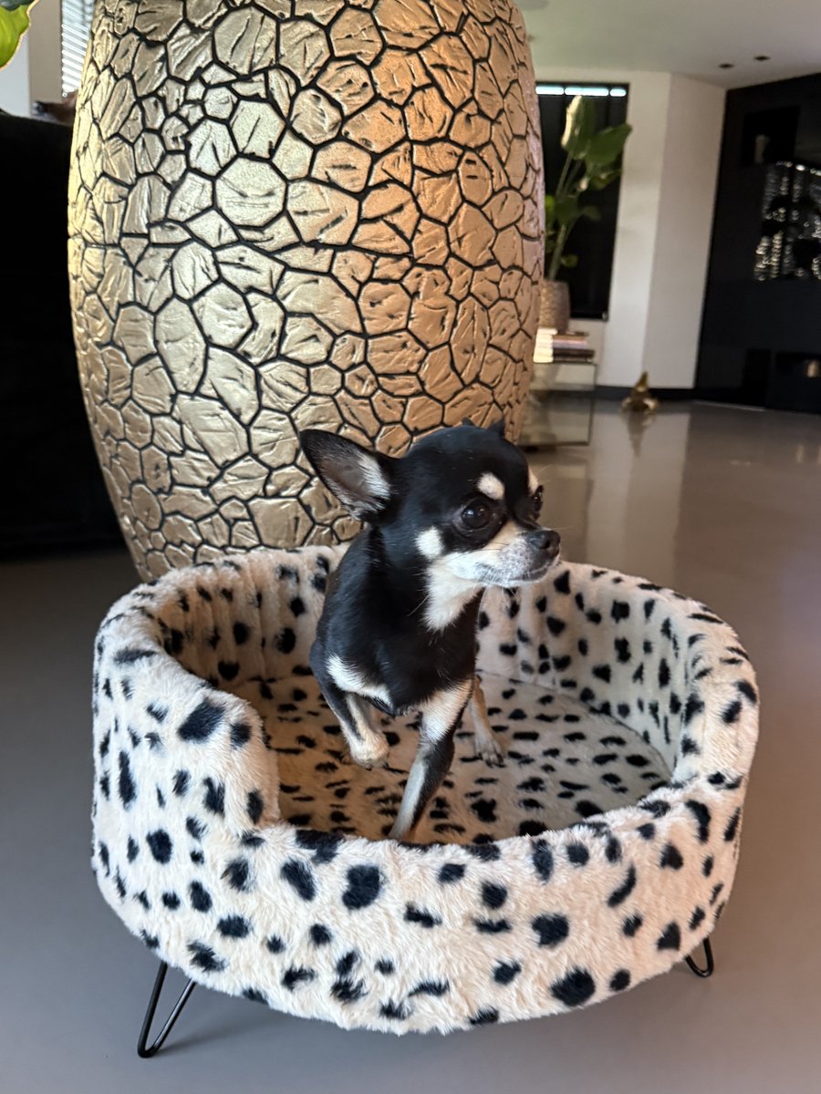 The Dog Label - hondenbank - huisdierenbank – hondenmand - 50cm – op pootjes - fluffy - leopard - creme
