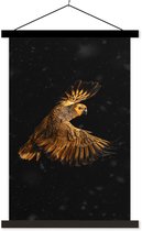 Affiche scolaire - Perroquet - Vogel - Oranje - 60x90 cm - Lattes noires