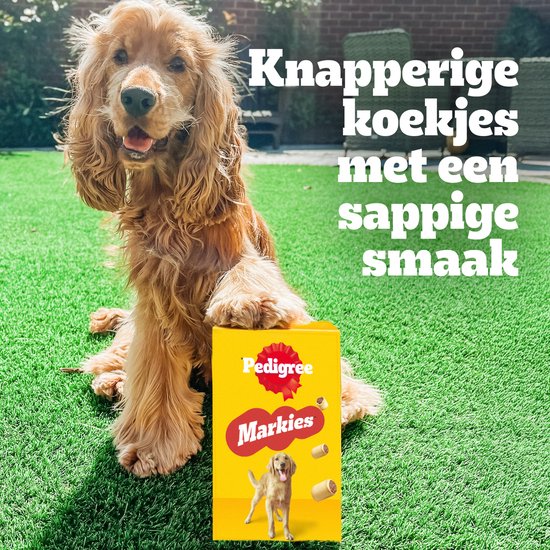 Een cocker spaniël zit naast een doos Pedigree Markies koekjes. De tekst op de doos en in de afbeelding luidt: "Knapperige koekjes met een sappige smaak".