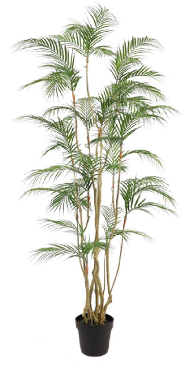 Neverleafs Tropische Areca palm kunstplant - 180 cm