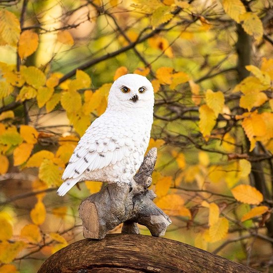 Sneeuwuil op stam maken een statement