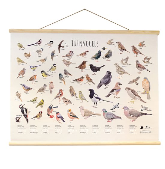 Plaque murale oiseau de jardin