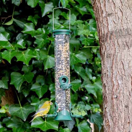 Groene voedersilo met gemengd vogelvoer, met een groenvink.