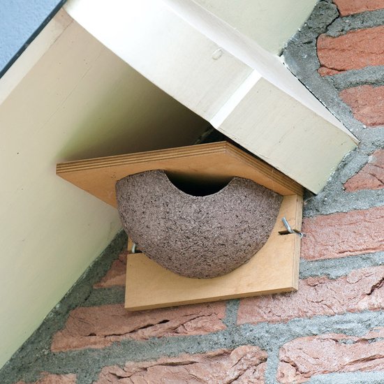CJ Wildlife Kunstnest voor Huiszwaluw - Enkel Zwaluwnest - Nestkast voor Zwaluw - Vogelhuis van FSC-gecertificeerd Hout - Aanbevolen door Vogelbescherming