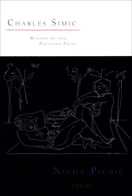 Night Picnic - cover