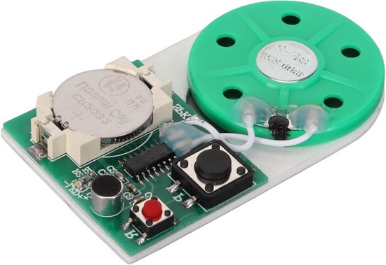 Geluidsmodule, Muziek Geluid Chip, Geluidsrecorder Chip, 10s