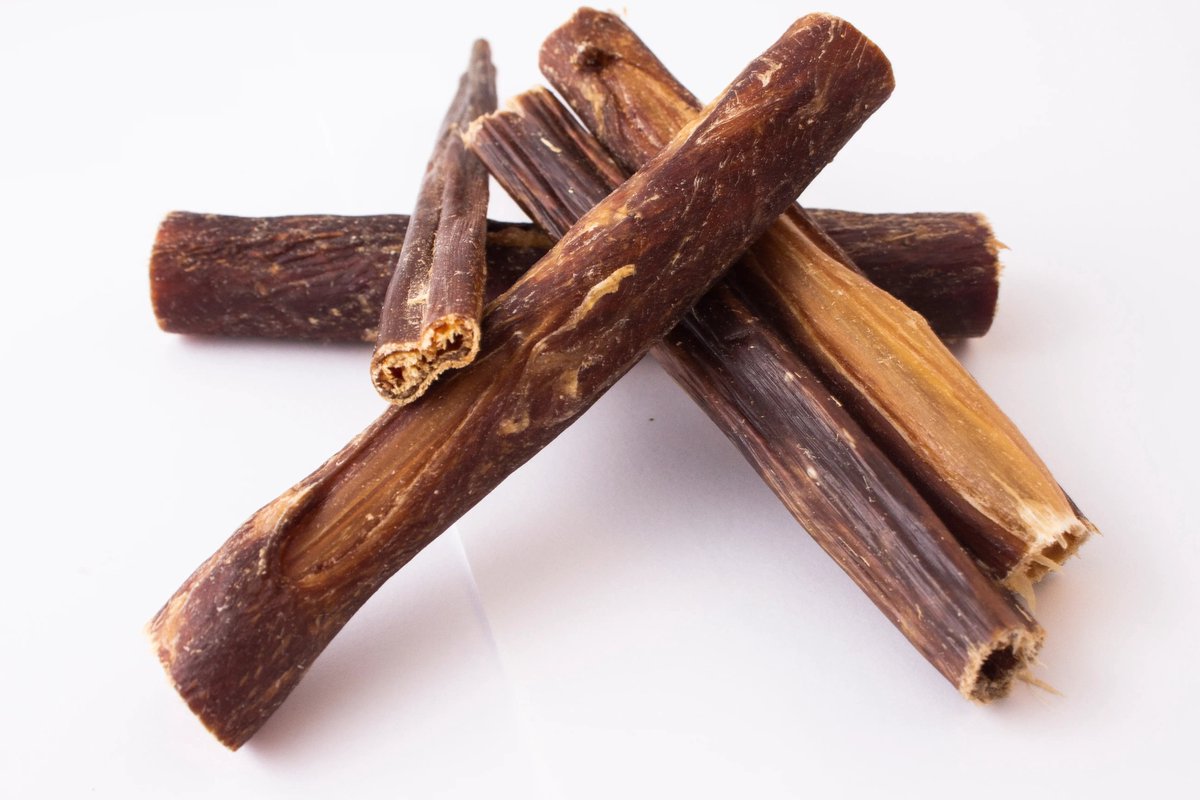 Runderkeelpitten 15cm (10x) - Natuurlijke Hondensnacks - Bellobox