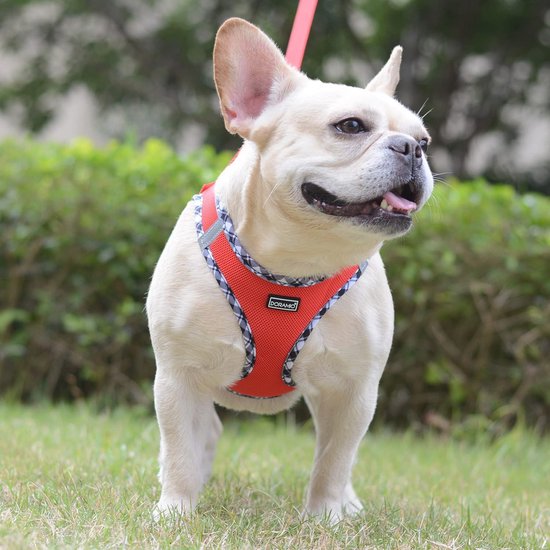 PcEoTllar Instapharnas Met Riem – Reflecterend Borsttuig Voor Kleine En Middelgrote Honden, Maat M, Rood
