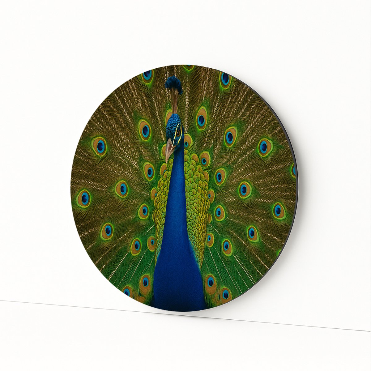 Pauw dicht bij – aluminium – ronde print – Dibond muurcirkel – 40x40 cm