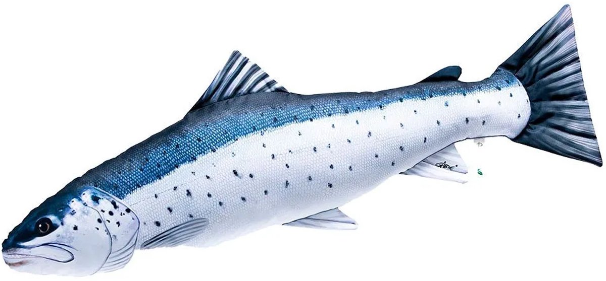 Gaby Het Reuzenkussen Met Zeeforel Wit