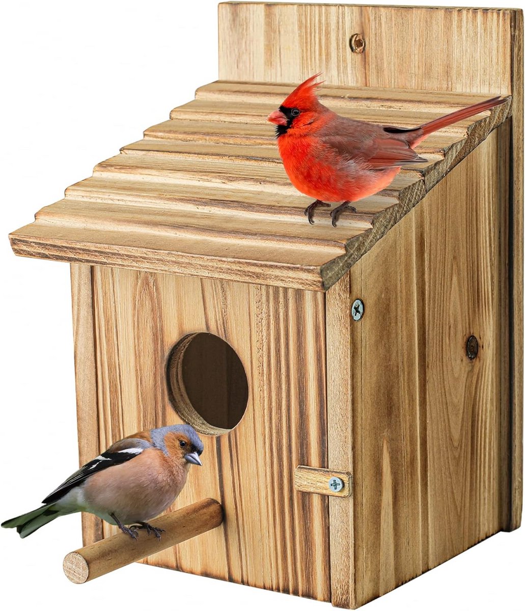 Houten Vogelhuis met Paal voor Buiten Tuin