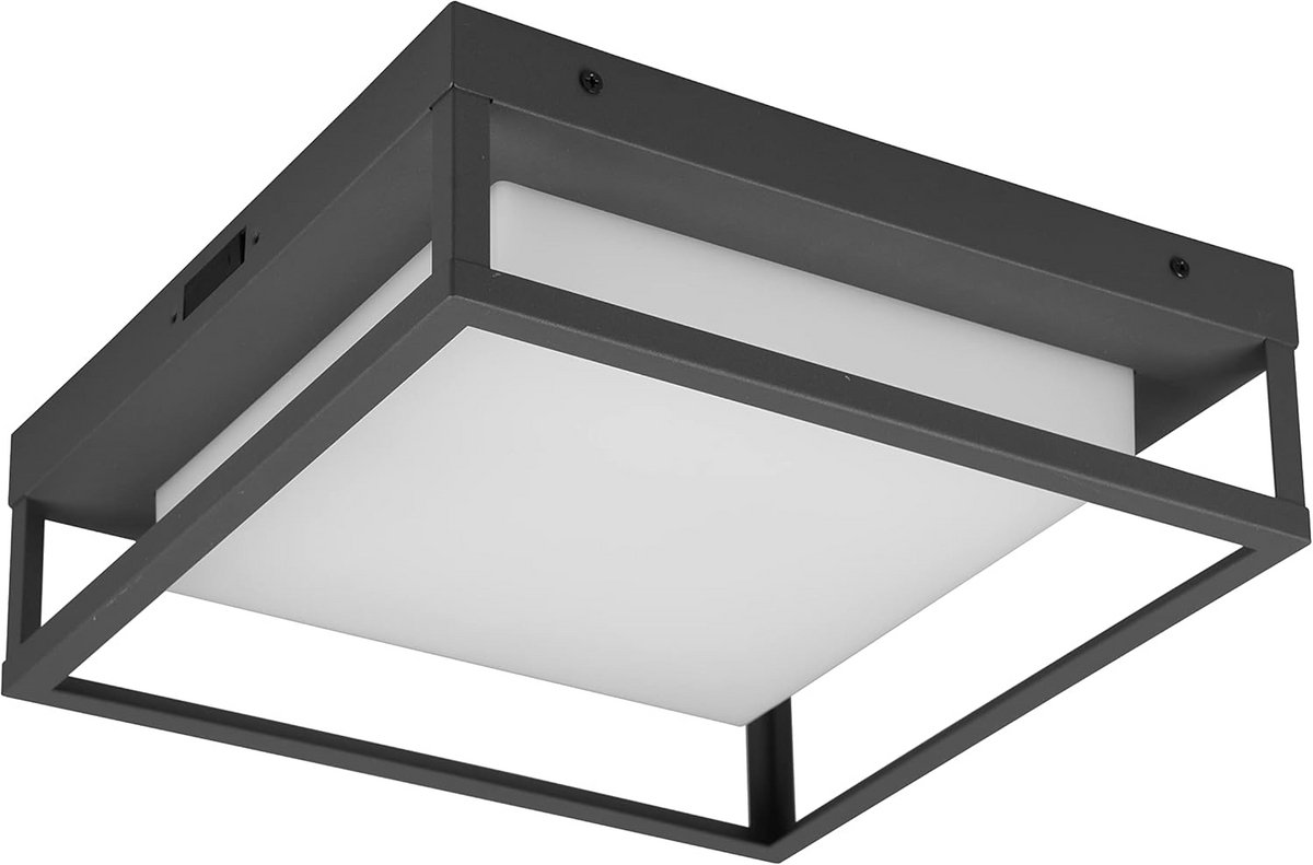 LED Buiten Plafondlamp Antraciet Instelbare Lichtkleur - Waterdicht