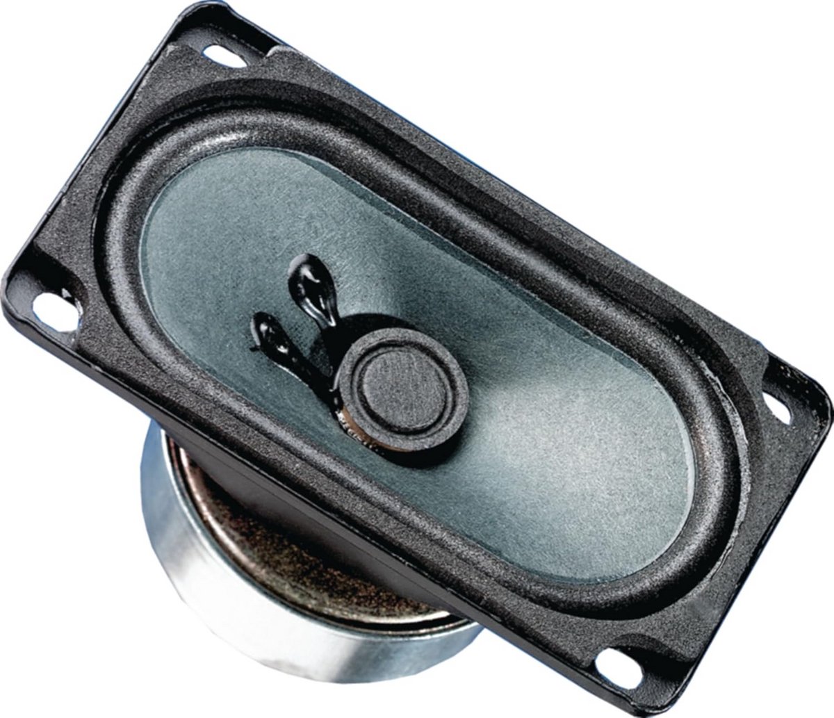 Zwarte 5x9 cm Breedbandluidspreker 10W 8 Ohm Universeel voor Multimedia en Surround