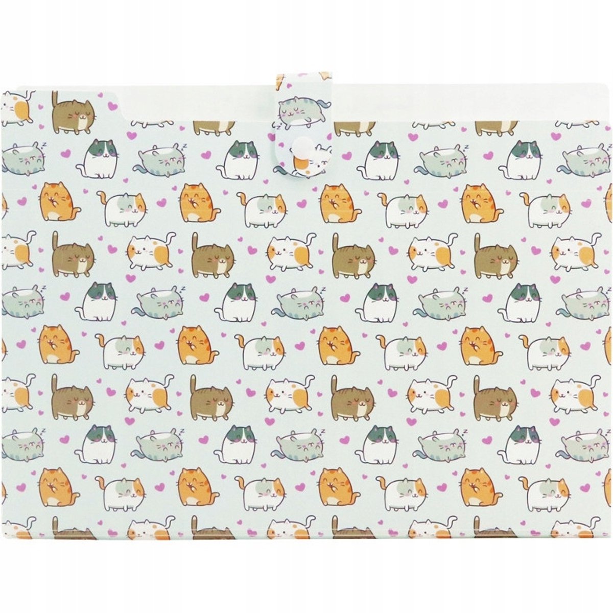 Biurfol A4 PP accordeon map met 5 vakken en kattenprint