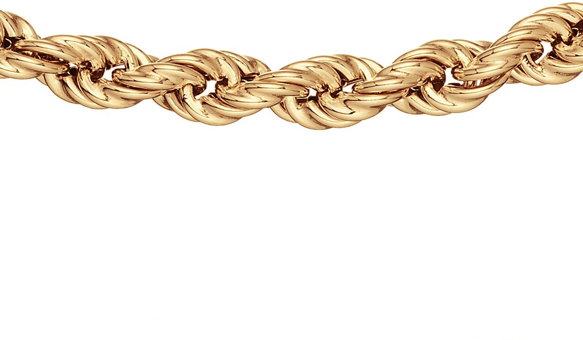 Glow 102.8398.60 Ketting - Collier - Sieraad - Schakelketting - Zilver - Goudkleurig - Koord - 60 cm lang