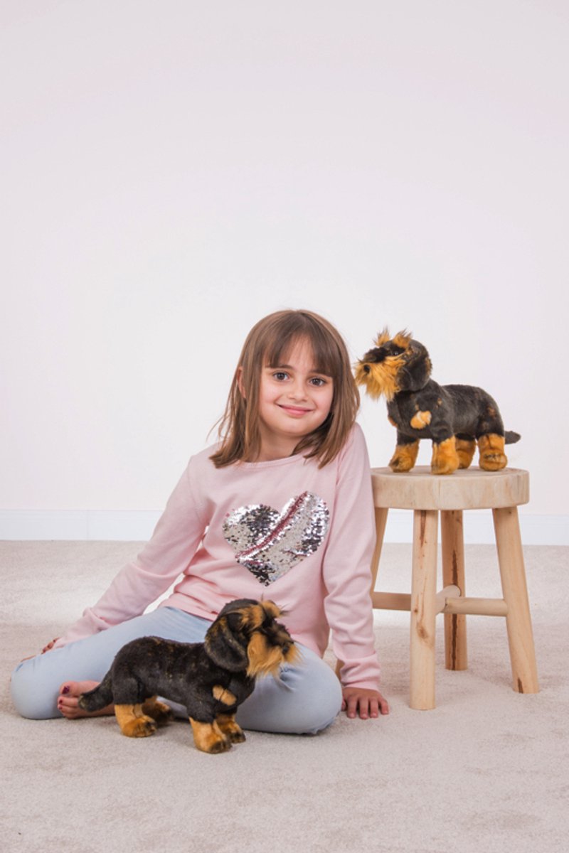 Hermann Teddy Knuffel Hond Ruwharige Teckel — afbeelding 5