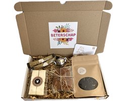 Beterschap theebox in brievenbusformaat - thee, honing en noga
