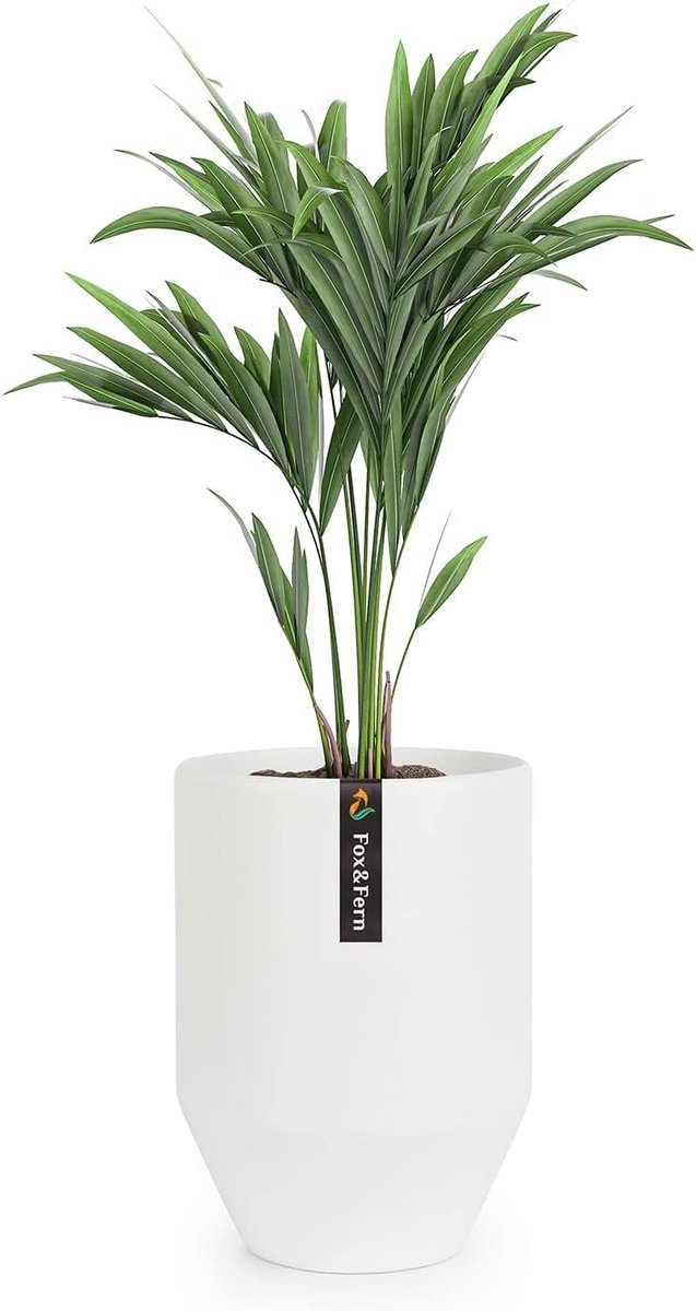 Grote Plantenpot voor Binnen en Buiten - UV- en Vorstbestendigheid, Afvoerplug, Polystone