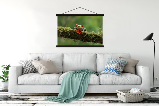 Grenouille maca aux yeux rouges sur une branche couverte affiche textielposter lattes noir 150x100 cm - Tirage photo sur plaque scolaire (décoration murale salon / chambre)