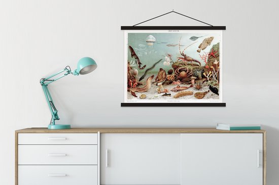 Affiche scolaire - Animaux aquatiques marins - Pierres - Vintage - Dessin - 60x45 cm - Lattes noires