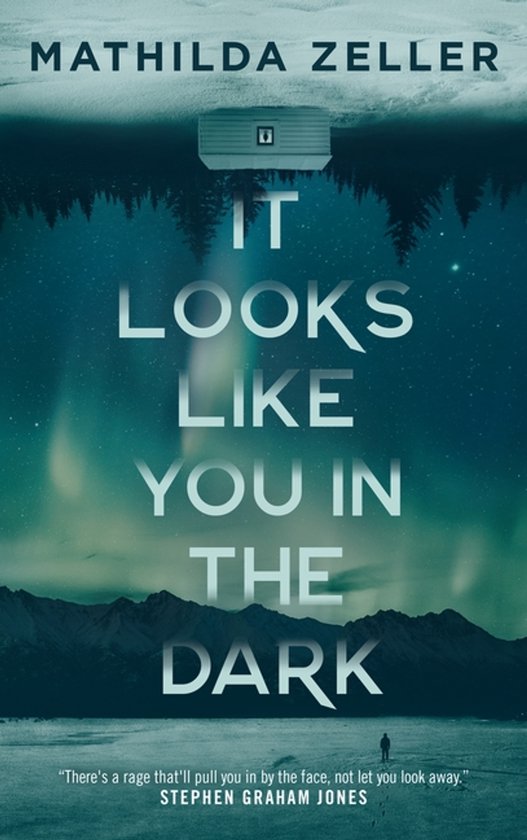 It Looks Like You in the Dark - cover
