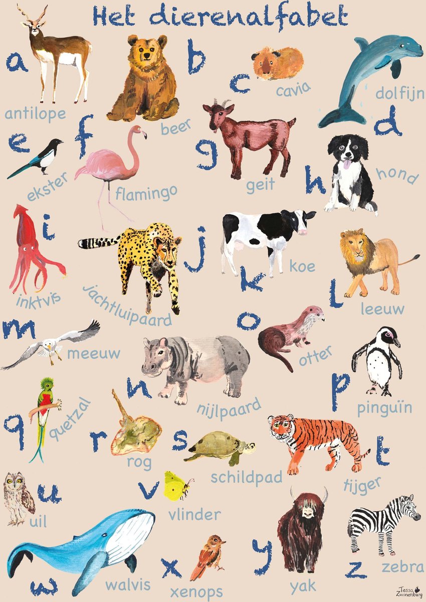 Alfabet poster dieren A3 | bol.com