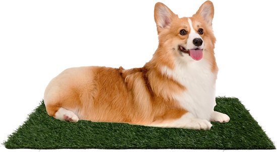 Hompet
