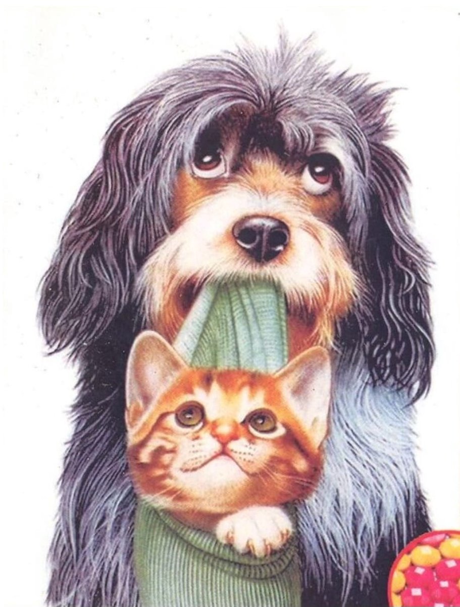 Diamond Painting mooie hond met poes 40 x 50 volledige bedrukking direct leverbaar dog kitten