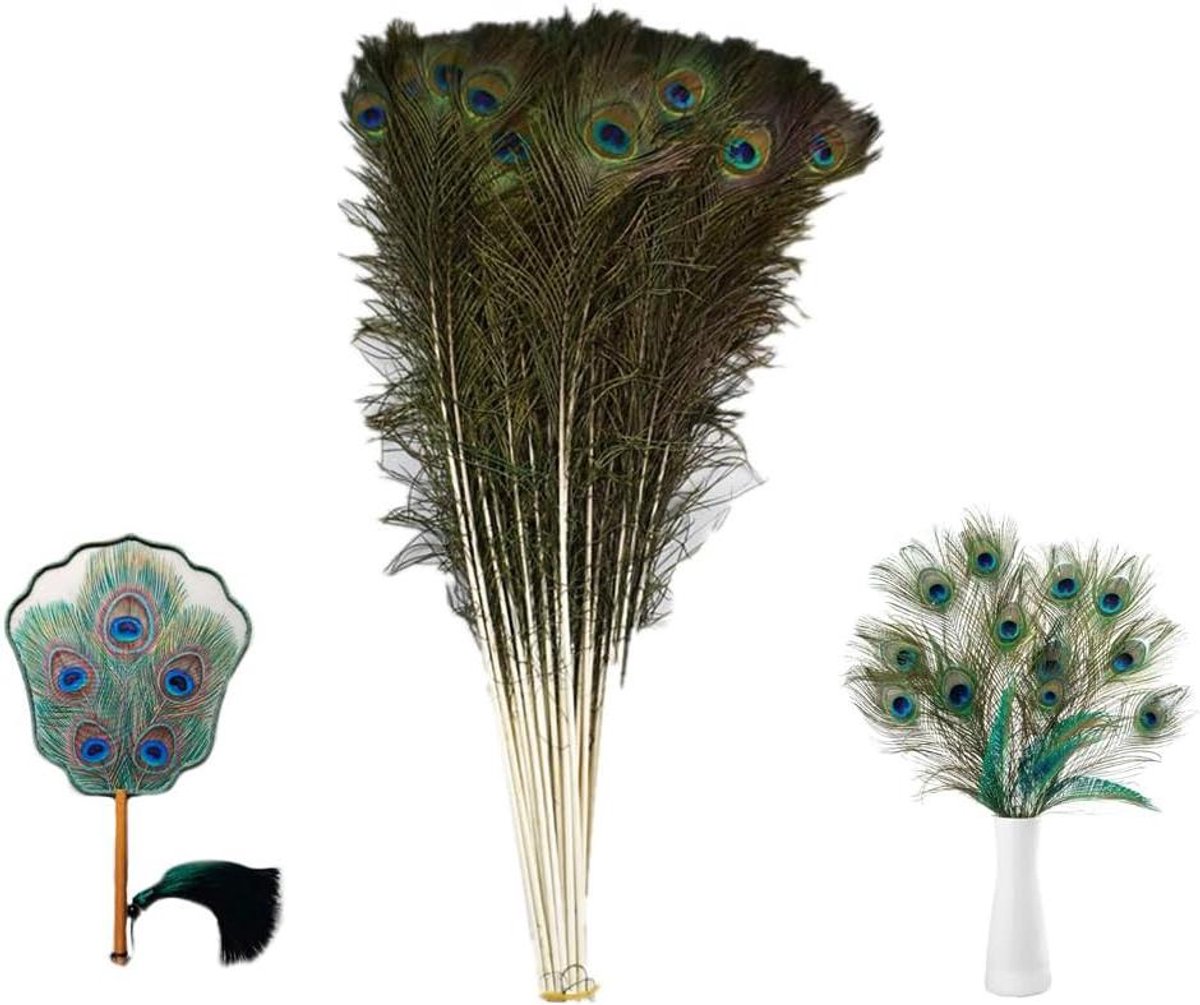 Ronte - Natuurlijke Pauwenveren 5 stuks 80-90 cm - Kleurrijke Knutselveren voor Doe-het-zelf Decoraties - Bruiloft en Meer