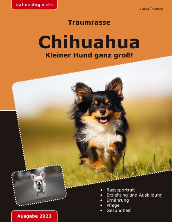 Traumrasse: Chihuahua - cover