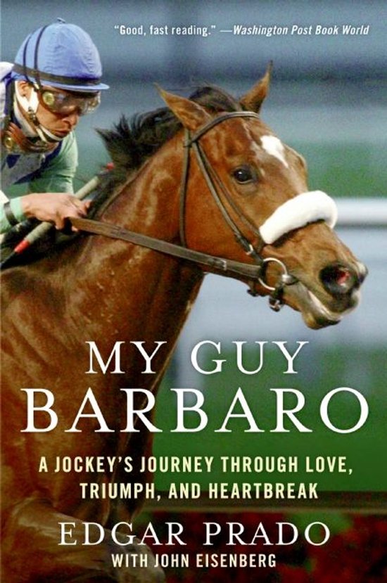 My Guy Barbaro - cover