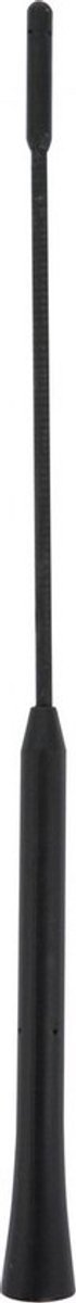 Carpoint Dakantenne Vervangingsmast 16v Zwart 28 Cm