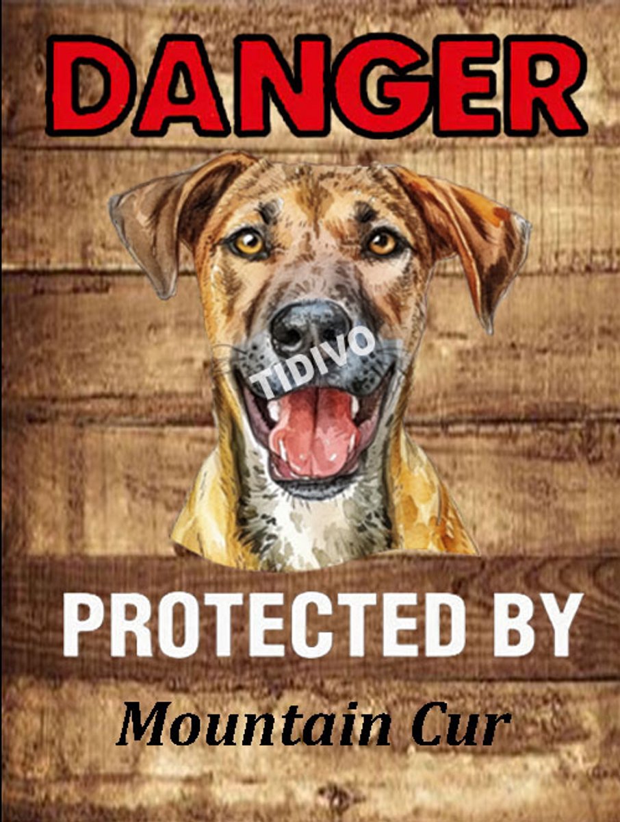 Mountain Cur 19