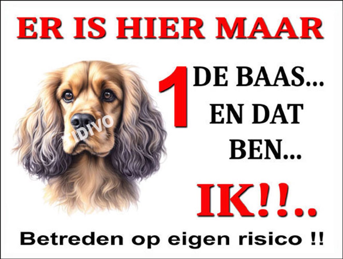 Cocker Spaniel 26
