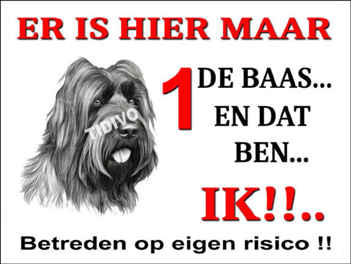 Briard 26